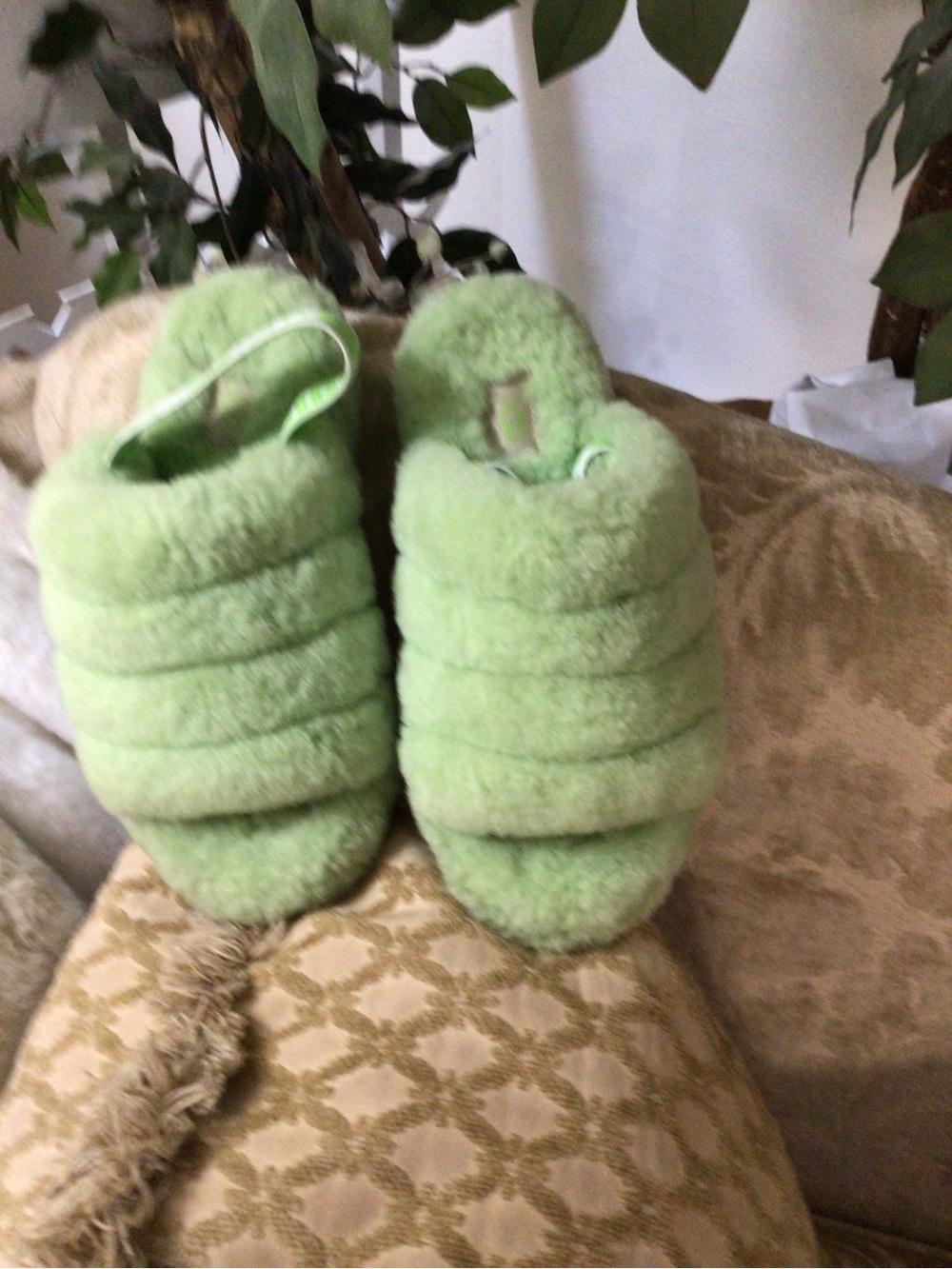 UGG - Picture 3 of 10
